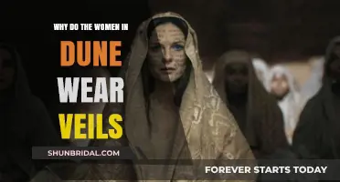 Unveiling the Mystery: Why Dune's Women Wear Veils