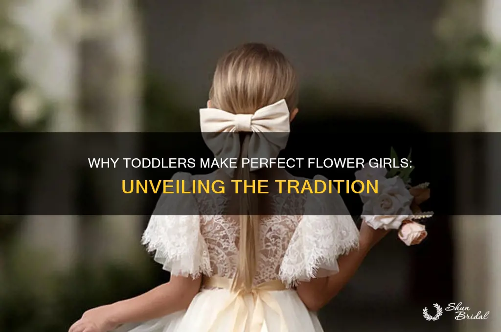 why do they pick toddlers for flower girls