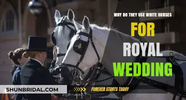 Why White Horses Symbolize Royal Weddings: Tradition and Meaning Explained