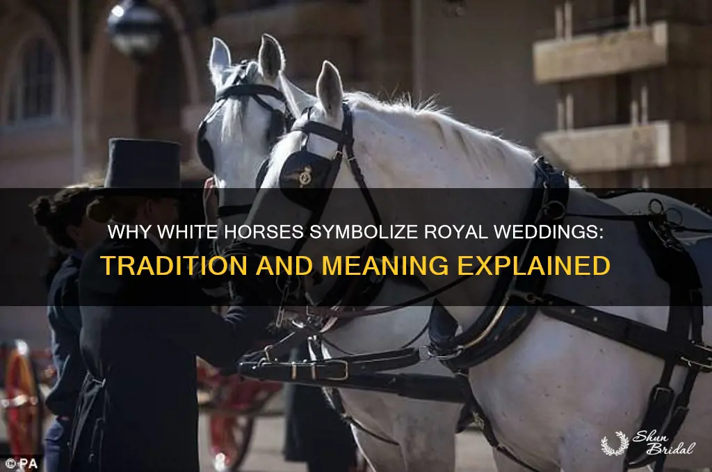 why do they use white horses for royal wedding