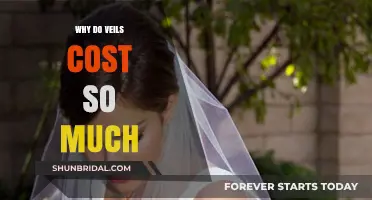 Unveiling the High Price Tag: Why Veils Are Surprisingly Expensive
