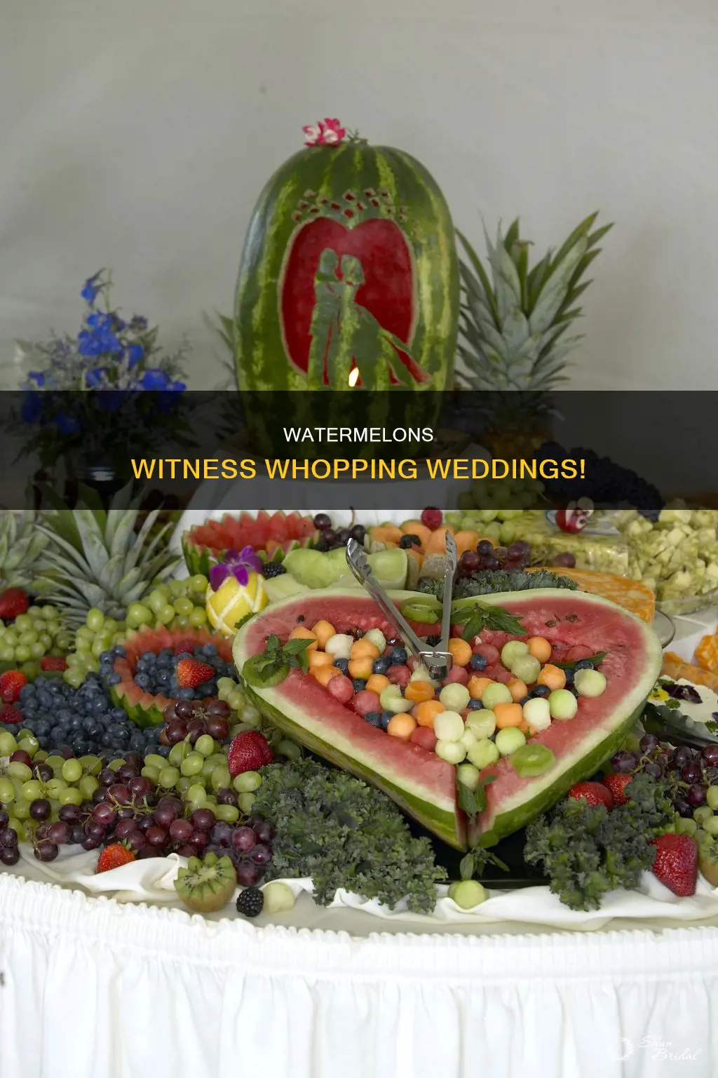 why do watermelons have big weddings