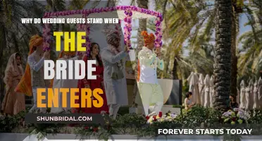 The Symbolic Tradition: Why Wedding Guests Stand for the Bride's Entrance