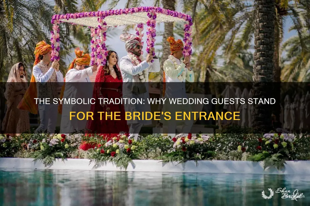 why do wedding guests stand when the bride enters
