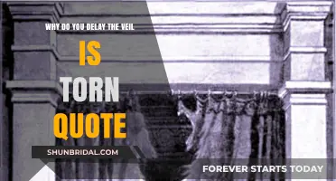 Why Delay When the Veil is Torn? Embracing God's Open Door