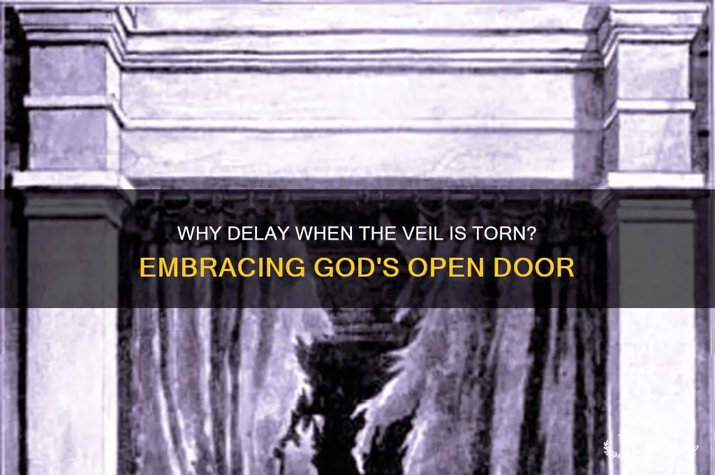 why do you delay the veil is torn quote