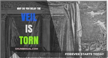 Why Delay When the Veil is Torn? Embrace Freedom Now