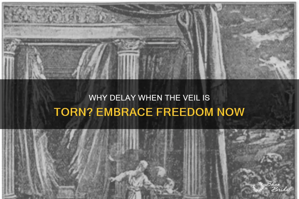 why do you delay the veil is torn