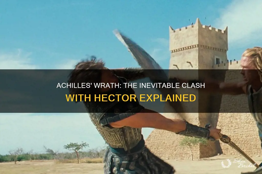 why does achilles vow to kill hector