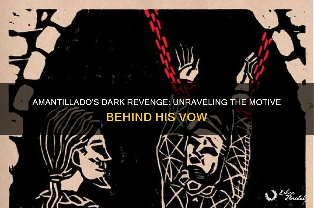 why does amantillado vow to take revenge