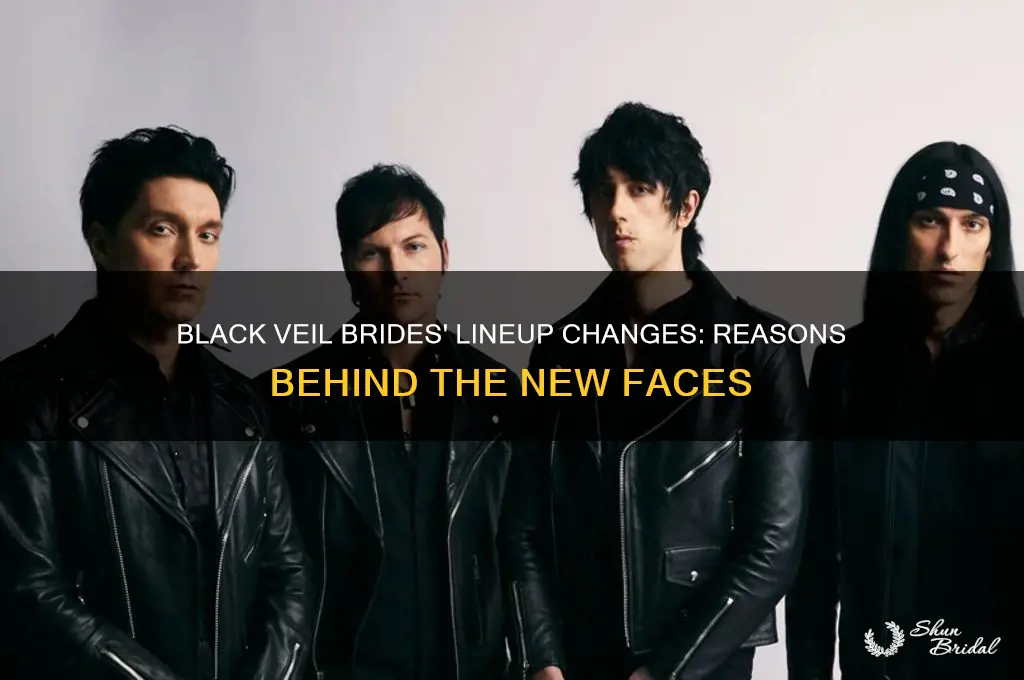 why does black veil brides have a new line up