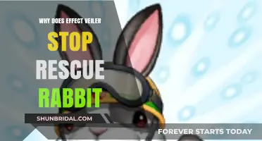 Effect Veiler's Impact: Halting Rescue Rabbit's Summon in Yu-Gi-Oh!