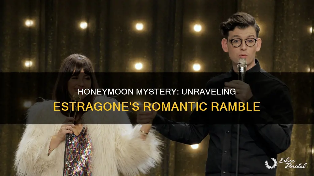 why does estragone talk about a honeymoon