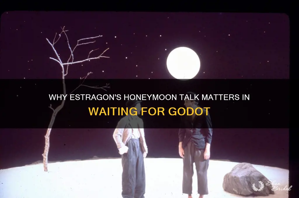 why does estragone talk about a honeymoon