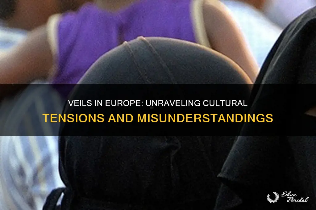 why does europe do not like veils
