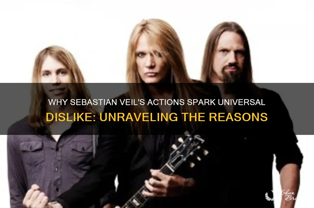 why does everyone hate sebastian veil