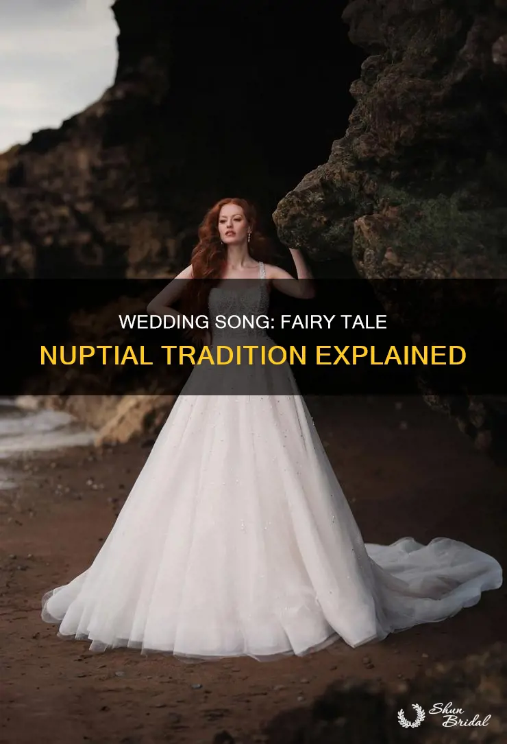 why does fairy tale play a wedding song