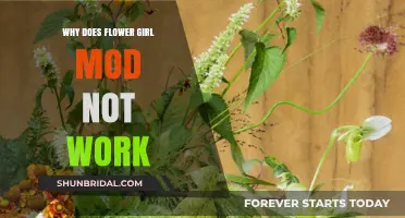 Troubleshooting Flower Girl Mod: Common Issues and Fixes Explained