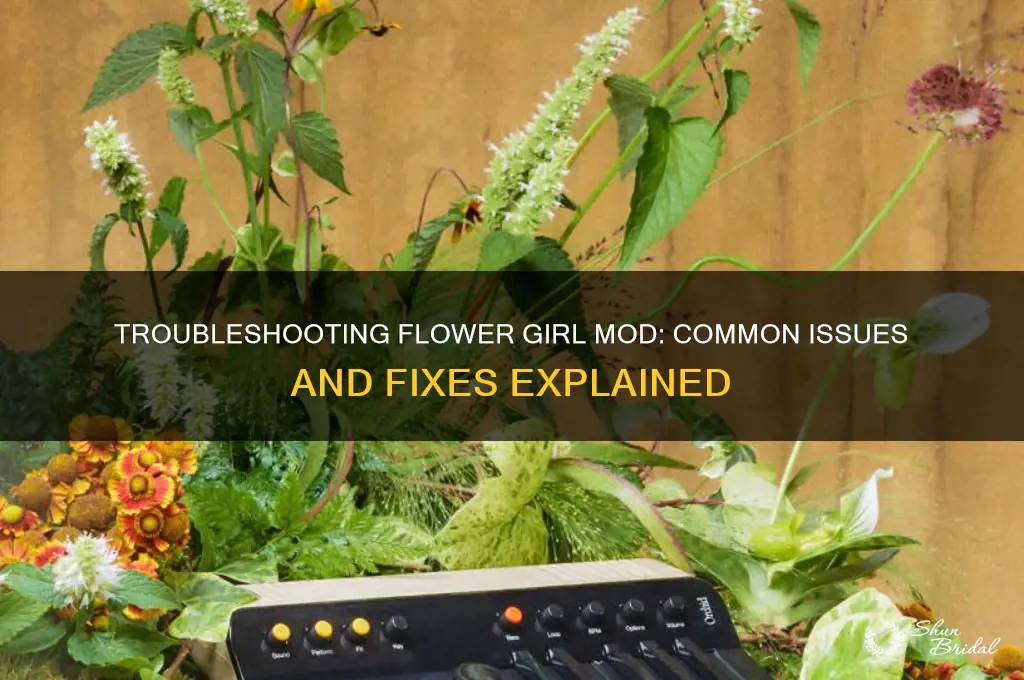 why does flower girl mod not work