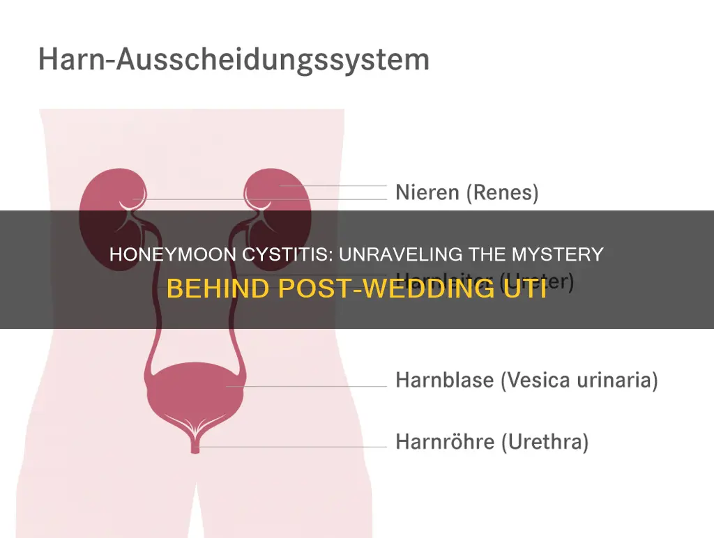 why does honeymoon cystitis happen