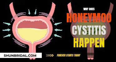 Honeymoon Cystitis: Why Does It Occur?