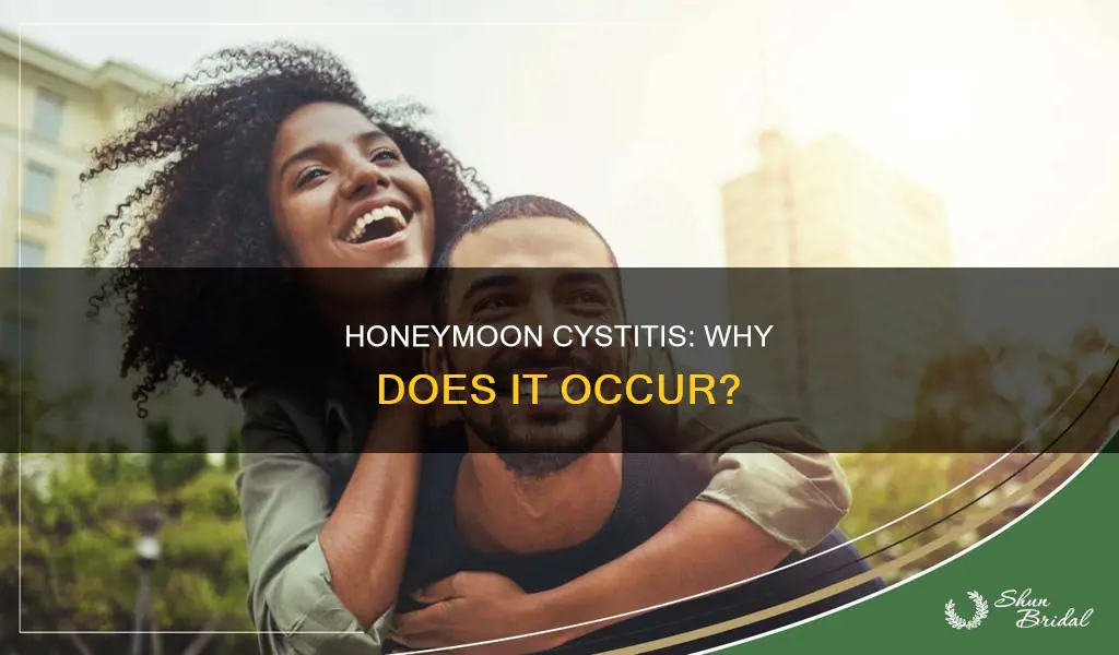 why does honeymoon cystitis happen