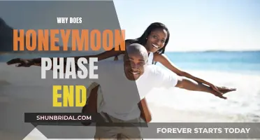 The Honeymoon Phase: Understanding the End of the Perfect Romance