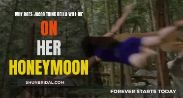 Will Bella Die on Her Honeymoon? Jacob Thinks So