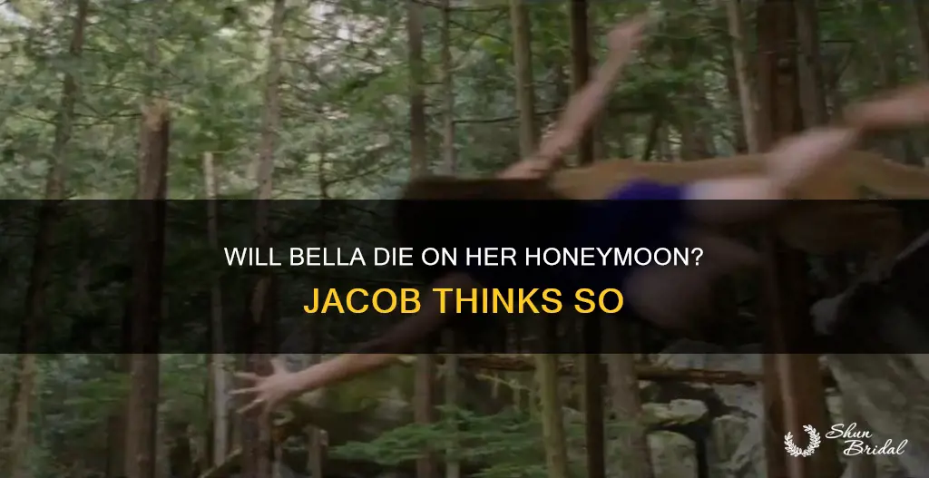 why does jacob think bella will die on her honeymoon