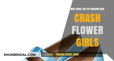 Perspective's Joy: Unraveling the Crash of Flower Girls' Innocence