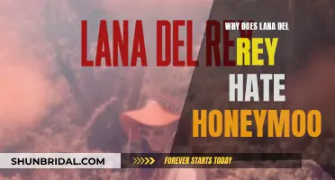 Lana Del Rey's 'Honeymoon' Hate: Unraveling the Mystery