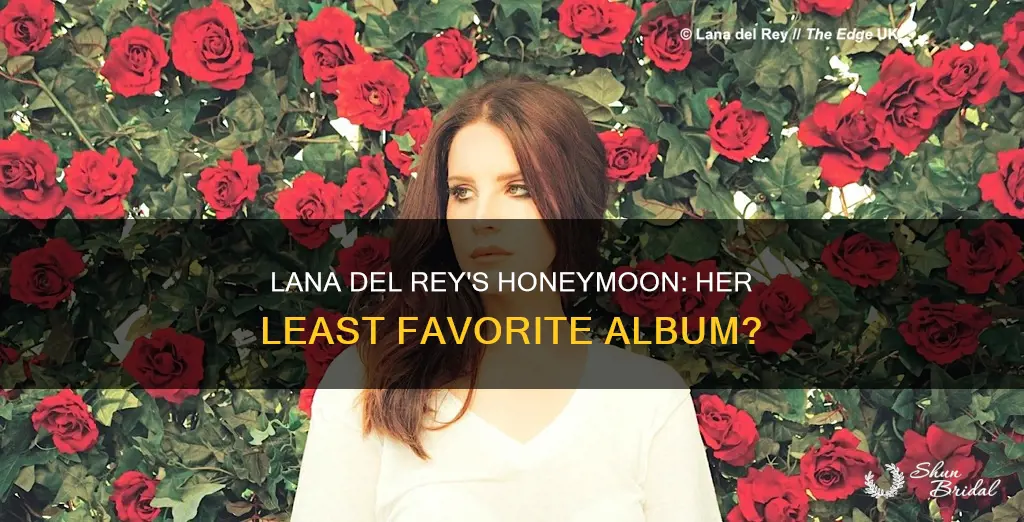 why does lana del rey hate honeymoon