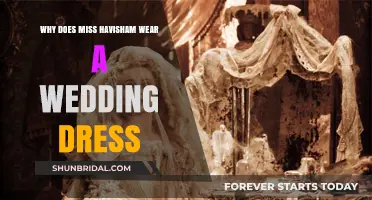 The Mystery Behind Miss Havisham's Wedding Dress