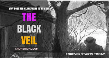 Unveiling Mr. Clark's Motive: The Black Veil's Removal Explained