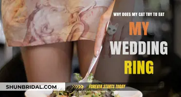 Cat's Weird Fascination: Why Your Wedding Ring?