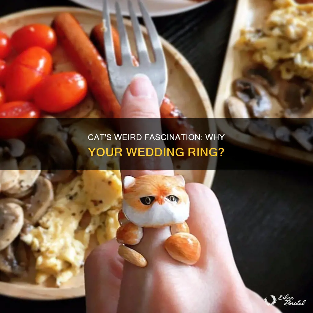 why does my cat try to eat my wedding ring