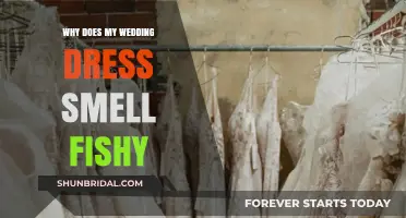Wedding Dress Smells Fishy: What's the Reason?