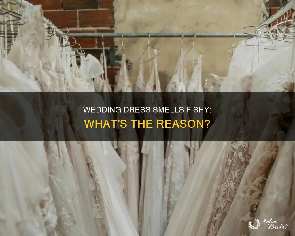 why does my wedding dress smell fishy