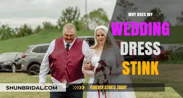 Wedding Dress Stinks: What's the Smelly Reason?