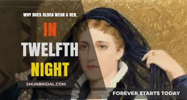 Unveiling Olivia's Mystery: The Symbolic Veil in Twelfth Night