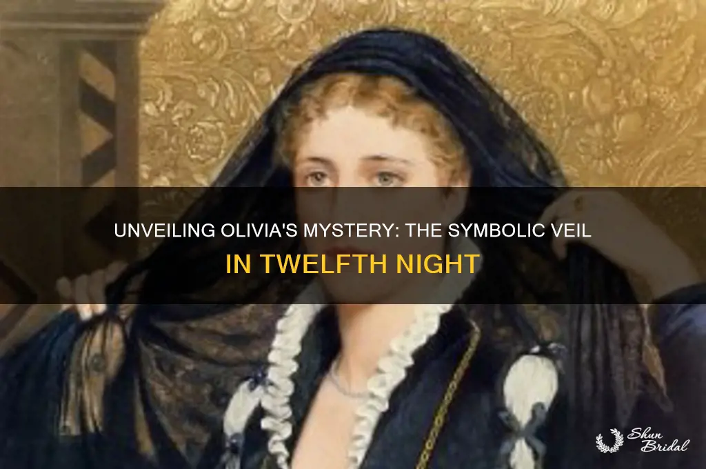 why does olivia wear a veil in twelfth night