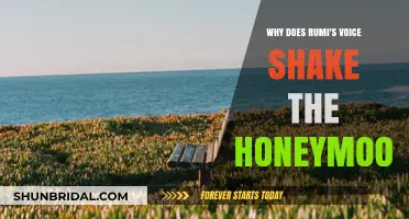 Rumi's Timeless Wisdom: Unraveling the Honeymoon's Shaken Foundations
