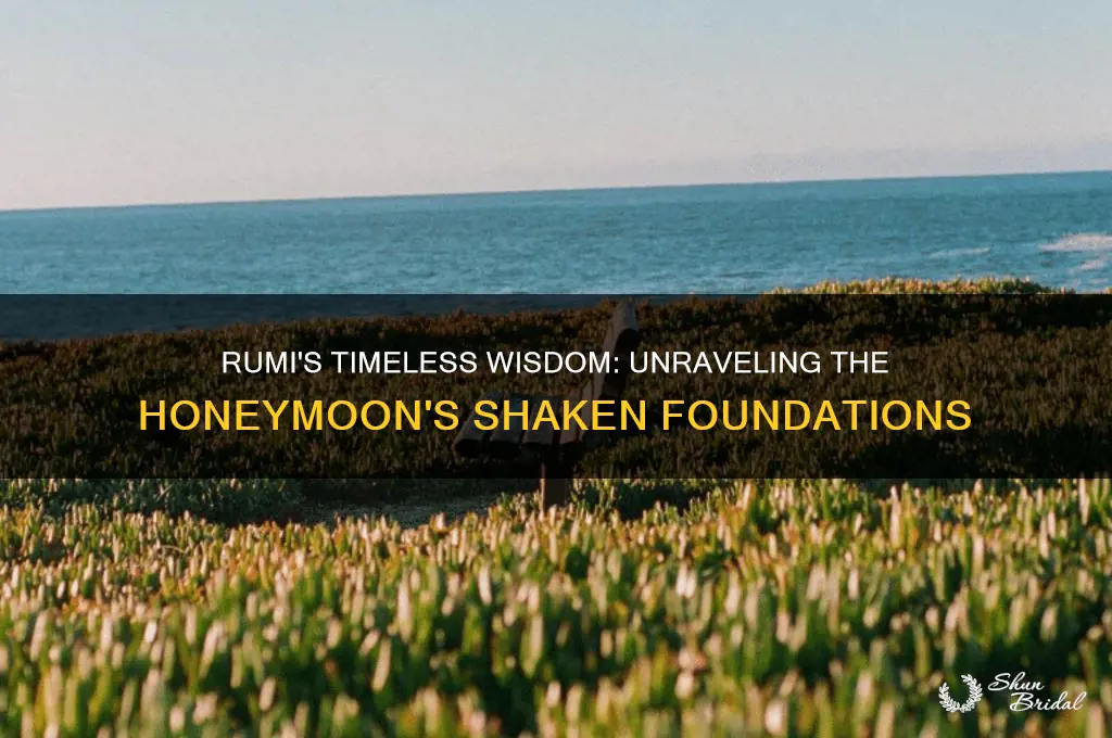 why does rumi