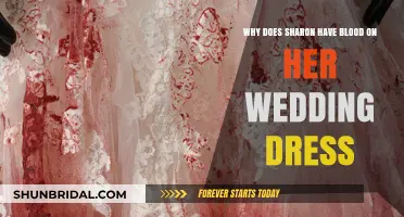 The Mystery of Sharon's Wedding Dress Stain