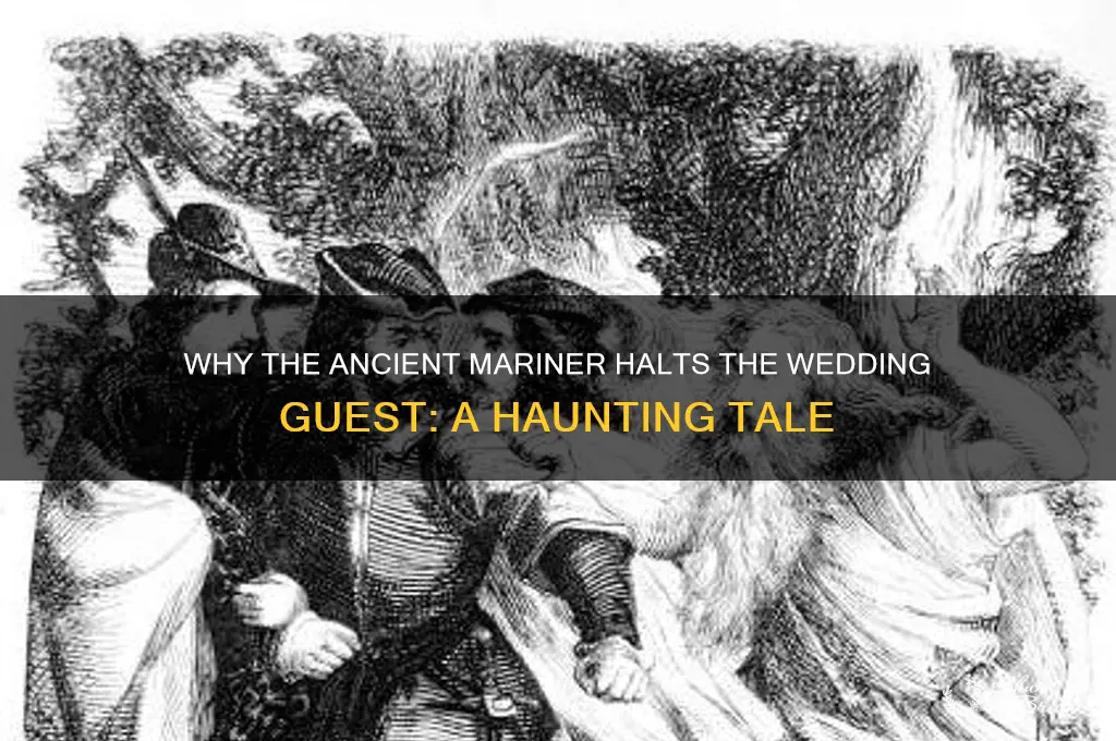 why does the ancient mariner am stop the wedding guest