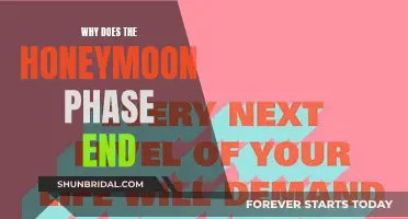 The Mystery Behind the End of Honeymoon Phase
