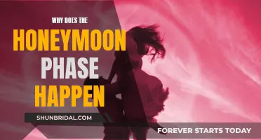 The Science Behind Honeymoon Phase Relationships