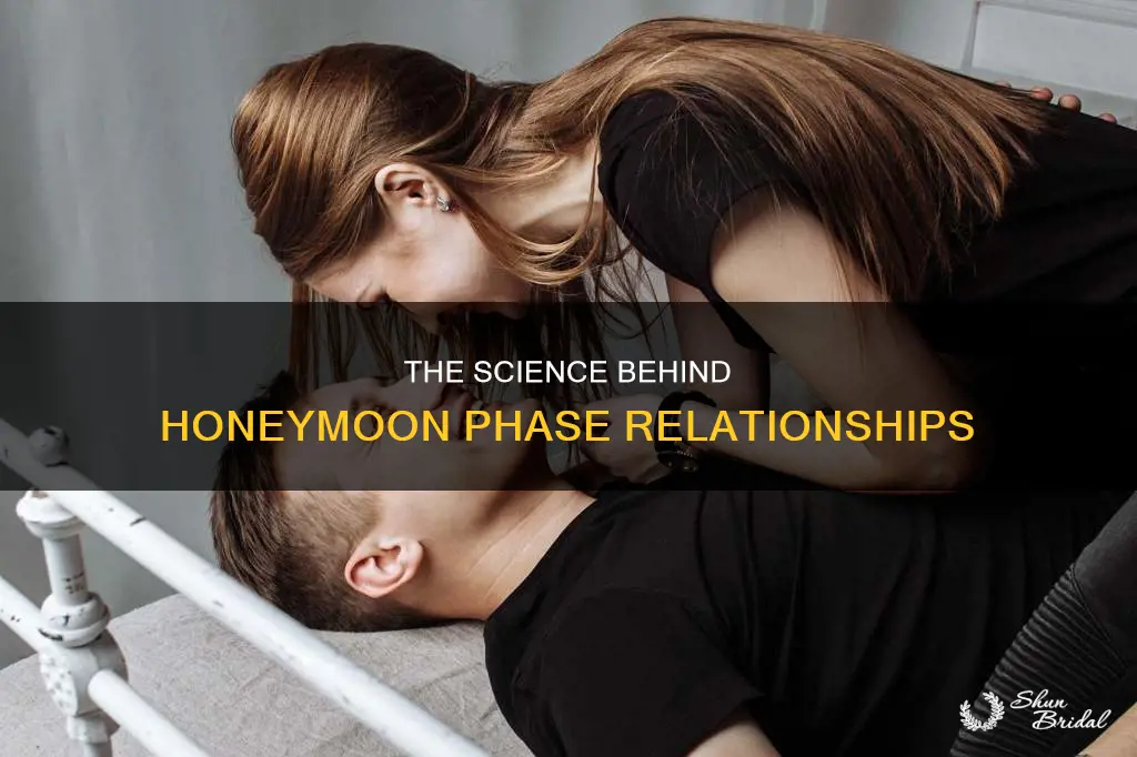 why does the honeymoon phase happen