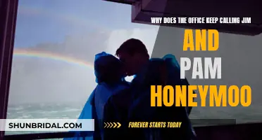 The Office Teases Jim and Pam: Honeymooners