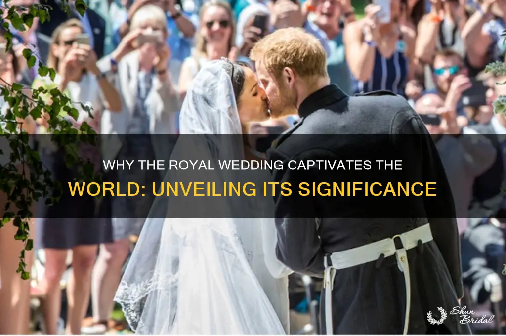 why does the royal wedding matter